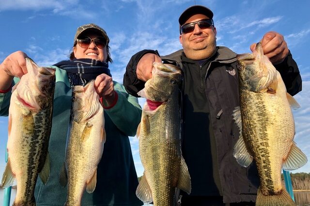 Bass Fishing in Lake Seminole