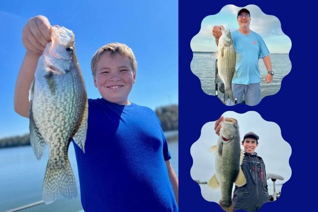 Bass fishing in Lake Seminole