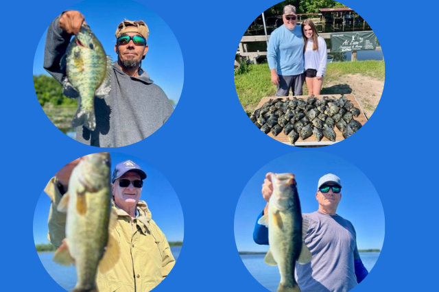 Lake Seminole Shellcracker Fishing