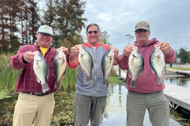 Lake Seminole Bass Fishing