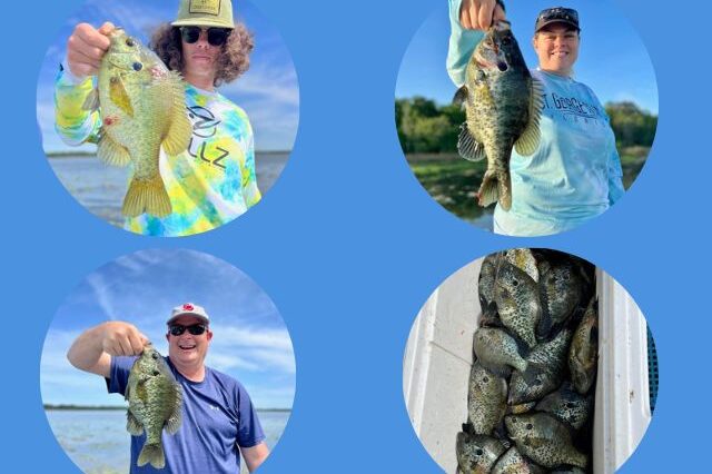 Lake Seminole Fishing