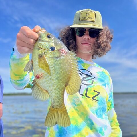 Lake Seminole Bass Fishing