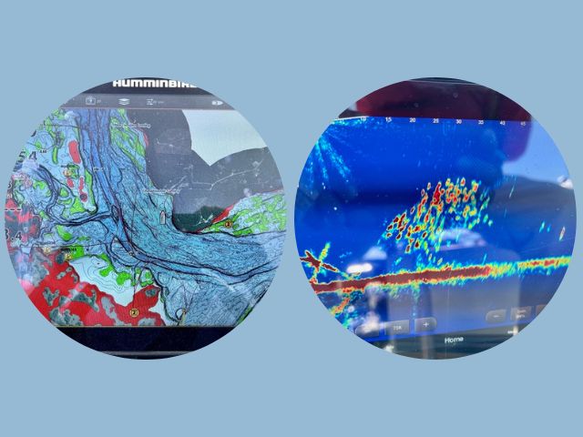 Lake Seminole Fishing