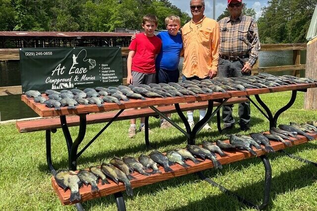 Lake Seminole Fishing