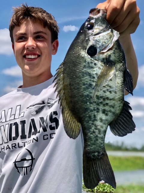 Shell Cracker Fishing in Lake Seminole