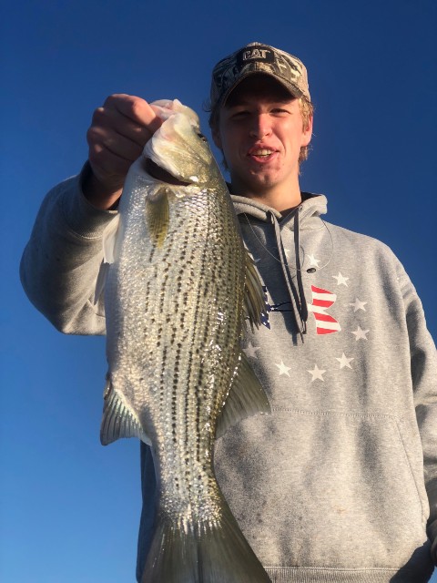 Lake Seminole Bass Fishing