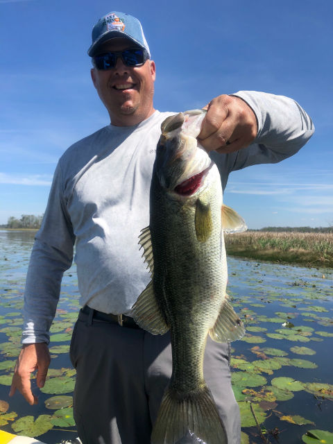 Bass Fishing in Lake Seminole