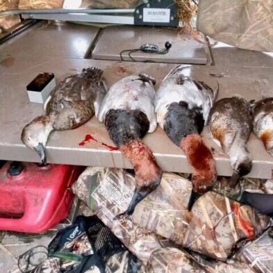 Duck Hunting in Lake Seminole