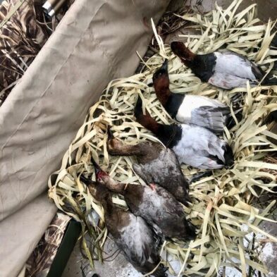 Duck Hunting in Lake Seminole