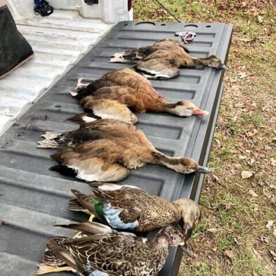 Duck Hunting in Lake Seminole