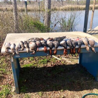 Duck Hunting in Lake Seminole
