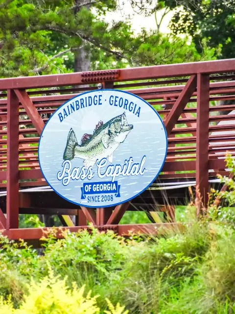 BAINBRIDGE GEORGIA