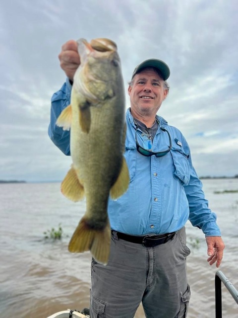 Lake Seminole Bass Fishing