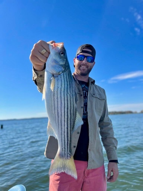 Lake Seminole Striper Fishing