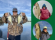 Lake Seminole Fishing