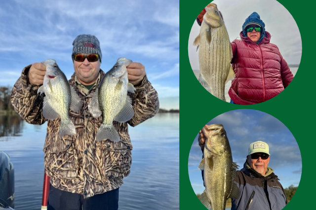 Lake Seminole Fishing Lake Seminole Fishing