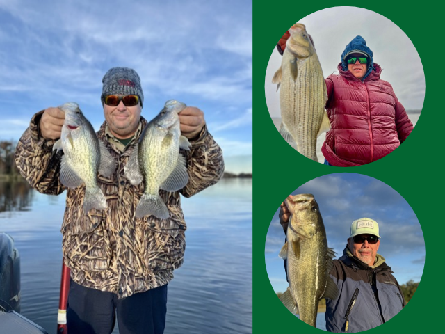 Lake Seminole Fishing